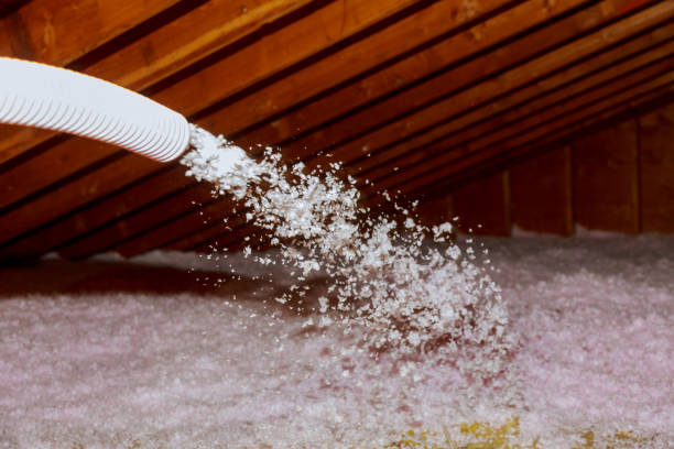 Best Types of Insulation in Bay Minette, AL