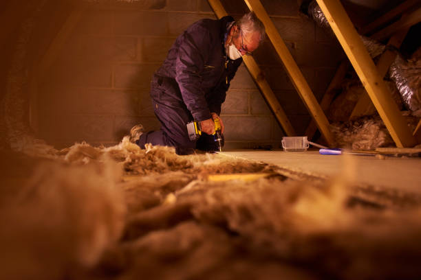 Best Residential Insulation in Bay Minette, AL